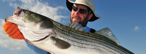 007909 Captain Eric Stapelfeld of Hairball Charters on Cape Cod fishing in July
