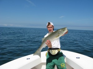 IMG_2130 IMG_2130