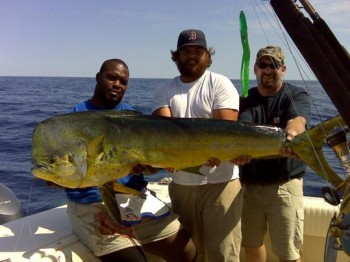 Ty Warren and our Massachusetts state record mahimahi Ty Warren, Eric stapelfeld, massachusetts state record mahimahi