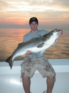 A trophy striped bass caught on hairball charters with Captain eric stapelfeld off cape Cod