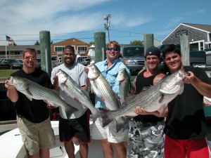 New England Patiots with trophy striped bass on board Captain Eric Stapelfeld's Hairball Charters