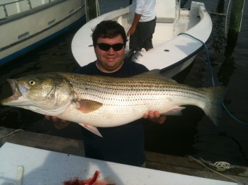 trophy striped bass for the whole family trips avalible 