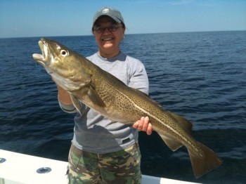 cod fishing charter, ma