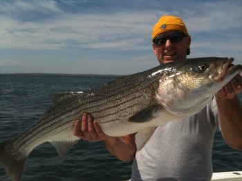 cape cod sport fishing charters