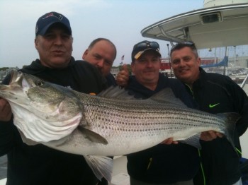 35 lb striped bass off Falmouth