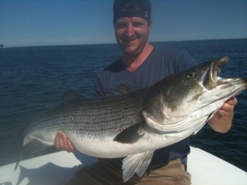 48 trophy striped bass