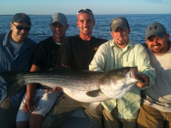 Trophy Striper off Falmouth late August 2011