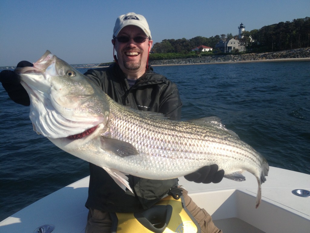 Cape Cod striped bass Charters out of Falmouth Quality and Quantity