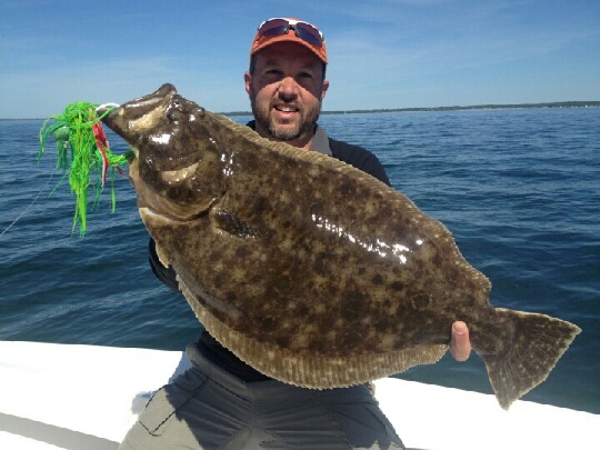 Fluke of a lifetime caught while Sport fishing out of Falmouth