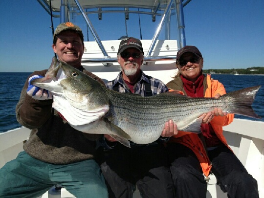Trophy Stripers are in Falmouth two Boats Sport fishing Daily two keepers Guaranteed