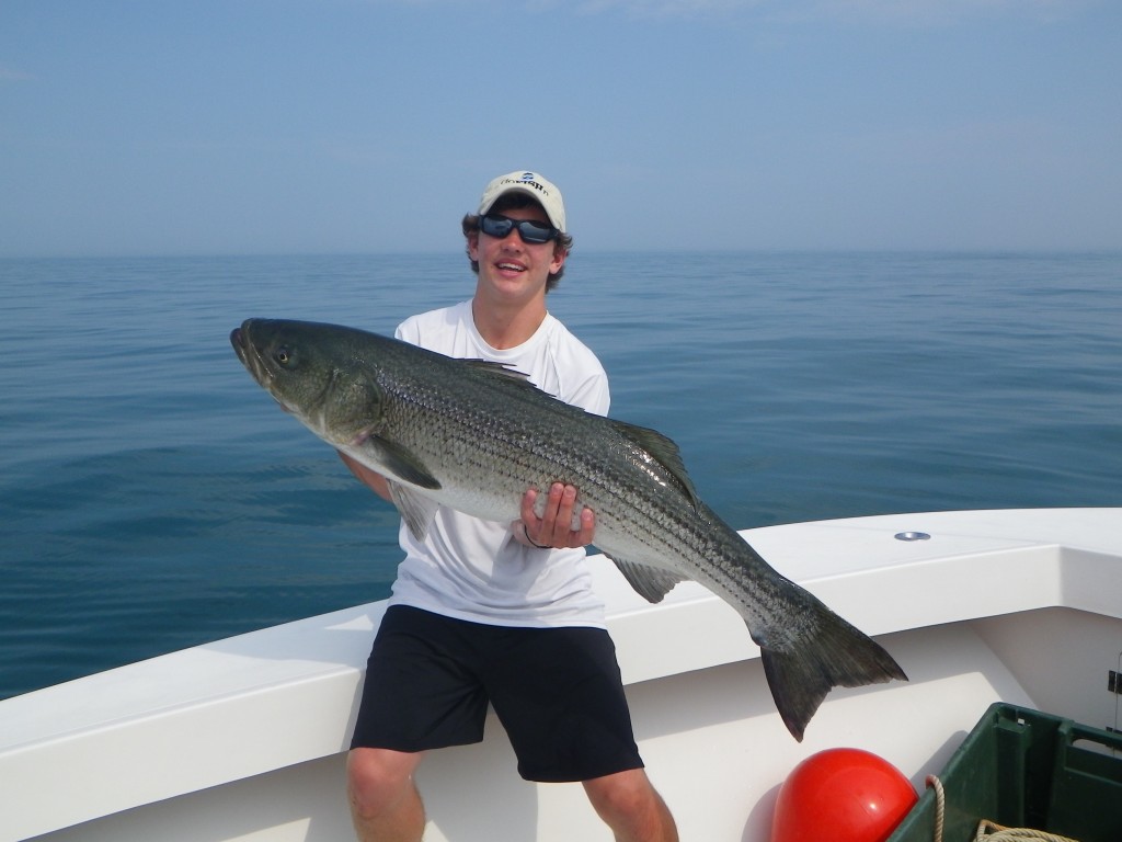 2016 Striped Bass are here! Let's go get a trophy! Hairball Charters