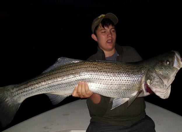 Fishing for Striped Bass on Cape Cod
