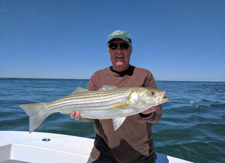 Cape Cod Fishing Charters – 2017 is Off to a Great Start!