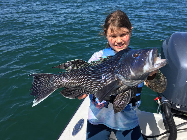Opening Day of Sea Bass 2019
