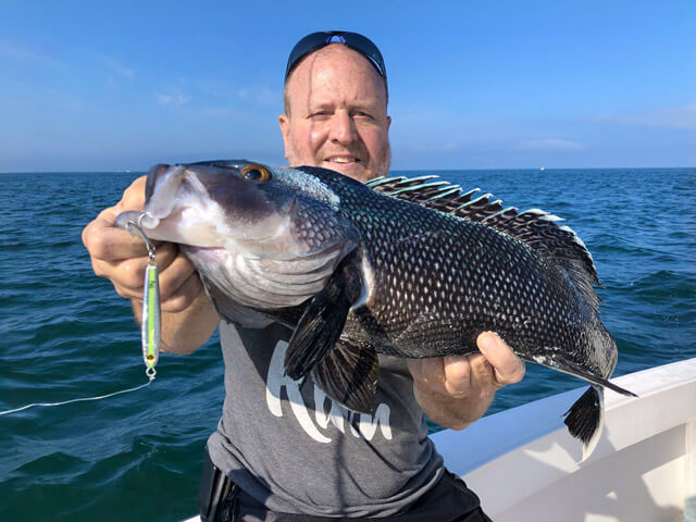 Falmouth Charter Fishing in Spring Means Seabass and Striper Combos