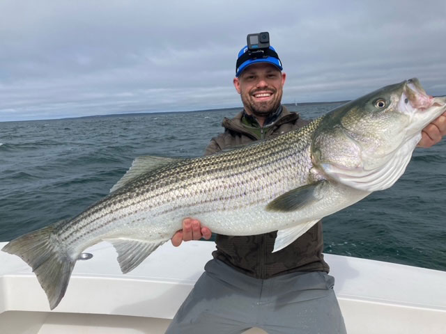 Trophy Striped Bass Fishing