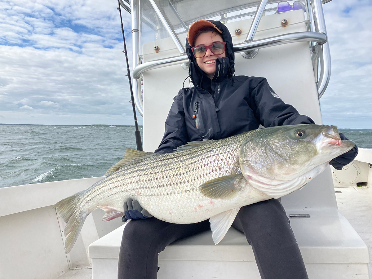 Trophy striped bass are here!
