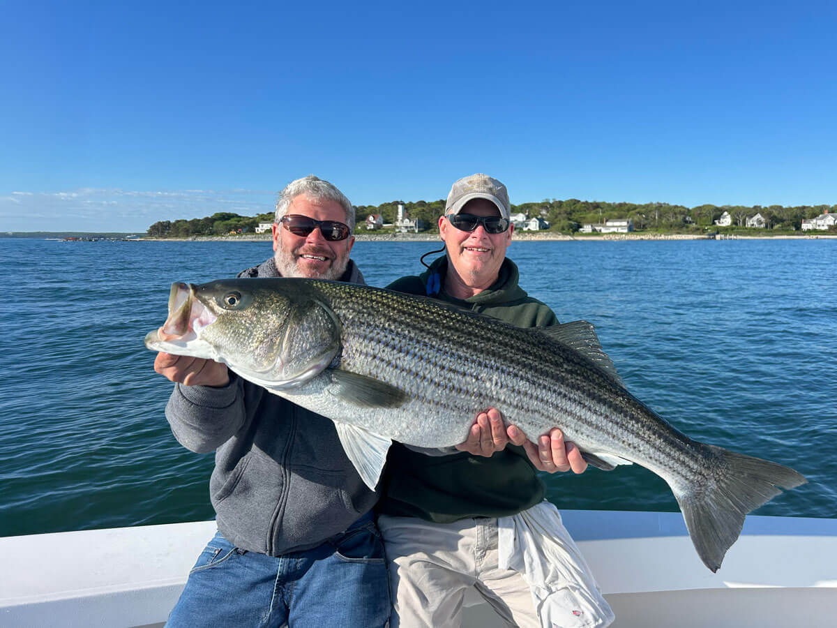 Cape Cape Charter Fishing