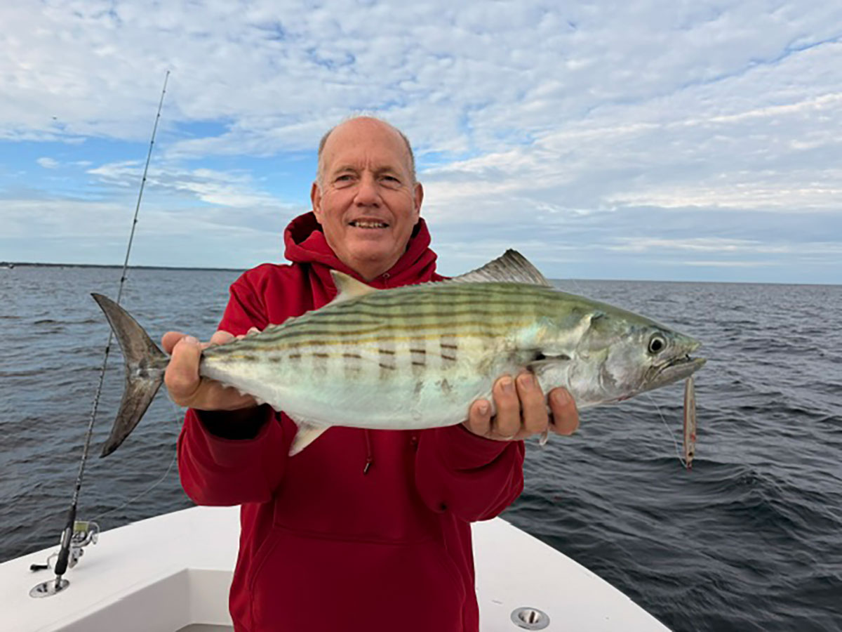 Cape Cod Charter Fishing for Bonito